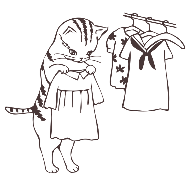 kočka a šaty.png